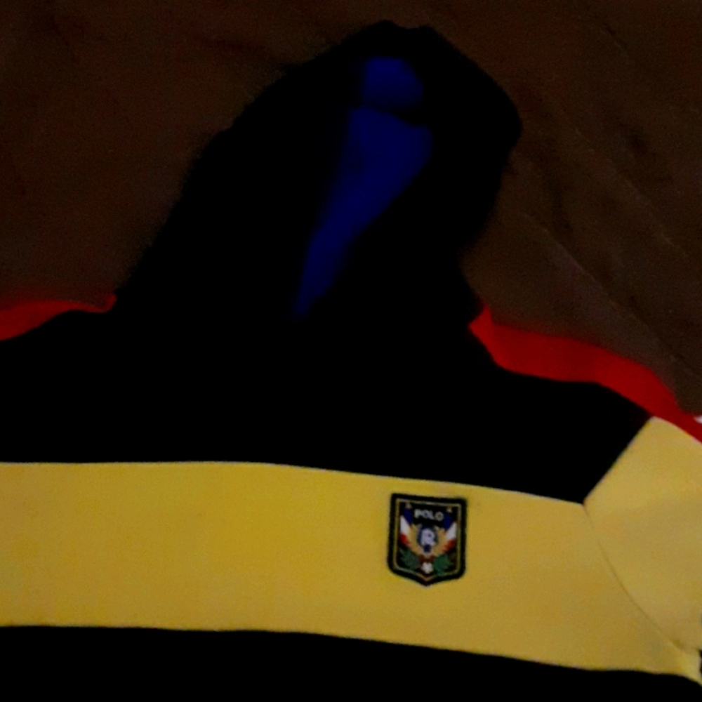 Polo hoodie